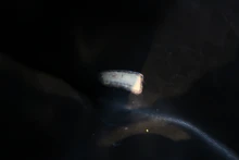 画像をギャラリービューアに読み込む, CHANEL/シャネル ココマークチェーンショルダーバッグ キャビアスキン ブラック/ゴールド金具 ショルダーバッグ 800030168