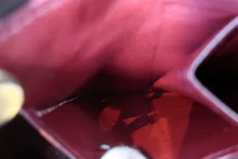 画像をギャラリービューアに読み込む, CHANEL/シャネル ミニマトラッセシングルフラップチェーンショルダーバッグ ラムスキン ブラック/ゴールド金具 ショルダーバッグ 800020201