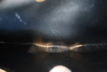 画像をギャラリービューアに読み込む, CHANEL/シャネル 2.55バイカラーチェーンショルダーバッグ ラムスキン ブラック/レッド/ゴールド金具 ショルダーバッグ 800020199