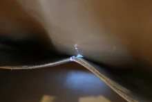 画像をギャラリービューアに読み込む, HERMES/エルメス ケリー28 クシュベル ゴールド ショルダーバッグ 800040071